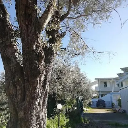 Panoramico, In Villa, Grande, Con Ampie Terrazze Caulonia Marina