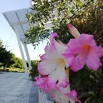 Panoramico, In Villa, Grande, Con Ampie Terrazze 카울로니아 마리나