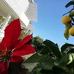 Panoramico, In Villa, Grande, Con Ampie Terrazze 아파트 *