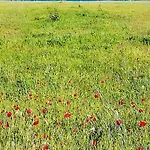 아파트 Panoramico, In Villa, Grande, Con Ampie Terrazze 카울로니아 마리나
