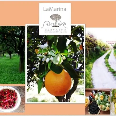 Panoramico, In Villa, Grande, Con Ampie Terrazze Apartment *