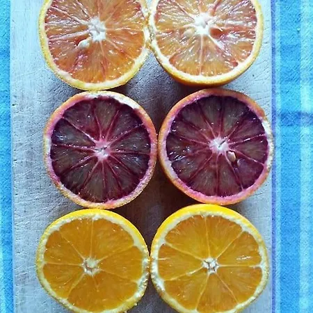 Panoramico, In Villa, Grande, Con Ampie Terrazze