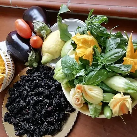 Panoramico, In Villa, Grande, Con Ampie Terrazze Apartment *