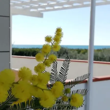Panoramico, In Villa, Grande, Con Ampie Terrazze דירה *