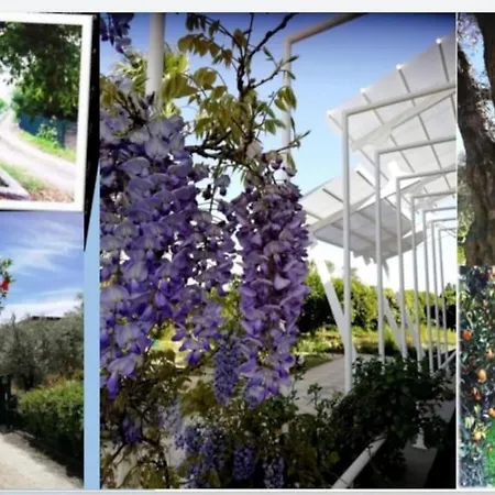 Panoramico, In Villa, Grande, Con Ampie Terrazze