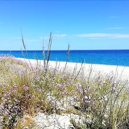 Panoramico, In Villa, Grande, Con Ampie Terrazze דירה קאולוניה מרינה