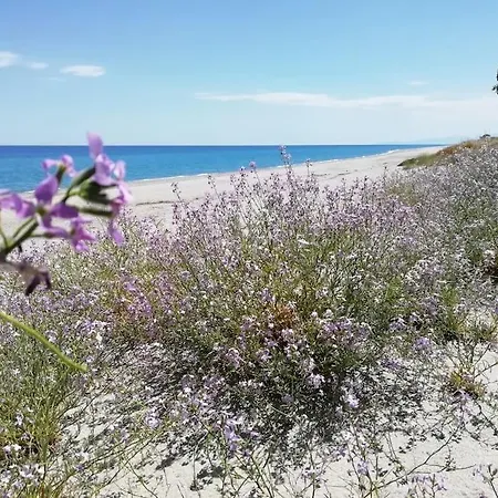 Panoramico, In Villa, Grande, Con Ampie Terrazze Apartment *