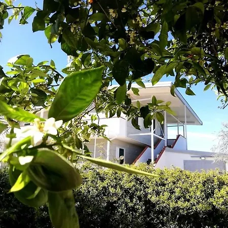 아파트 Panoramico, In Villa, Grande, Con Ampie Terrazze 카울로니아 마리나