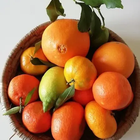 Panoramico, In Villa, Grande, Con Ampie Terrazze