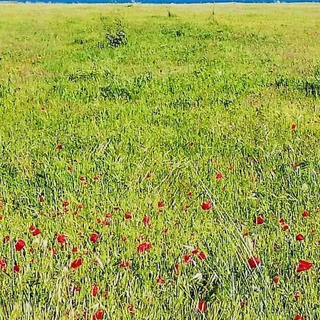 Apartment Panoramico, In Villa, Grande, Con Ampie Terrazze Marina di Caulonia