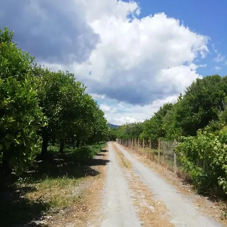 דירה Panoramico, In Villa, Grande, Con Ampie Terrazze