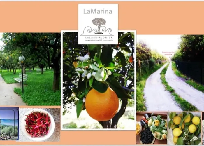 Panoramico, In Villa, Grande, Con Ampie Terrazze Apartamento *