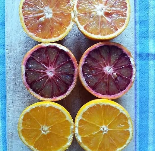 Panoramico, In Villa, Grande, Con Ampie Terrazze