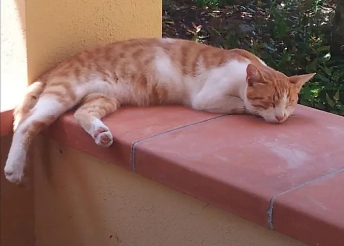 Panoramico, In Villa, Grande, Con Ampie Terrazze Caulonia Marina