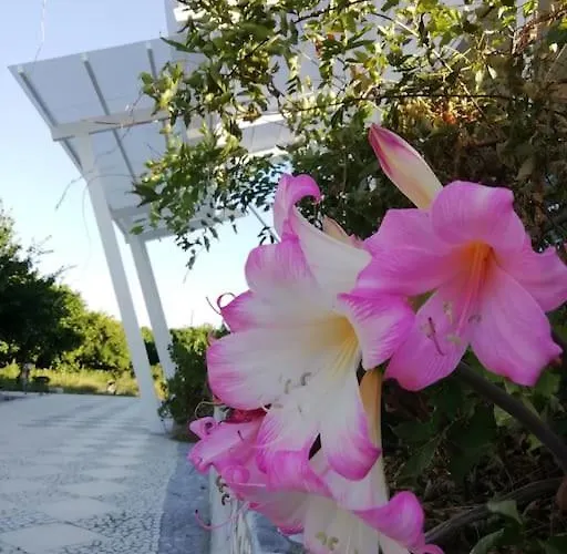 Panoramico, In Villa, Grande, Con Ampie Terrazze Caulonia Marina
