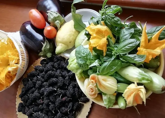 Panoramico, In Villa, Grande, Con Ampie Terrazze Apartamento *