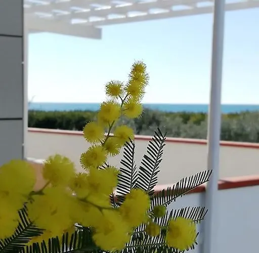 Panoramico, In Villa, Grande, Con Ampie Terrazze Apartamento *