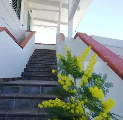 Apartamento Panoramico, In Villa, Grande, Con Ampie Terrazze