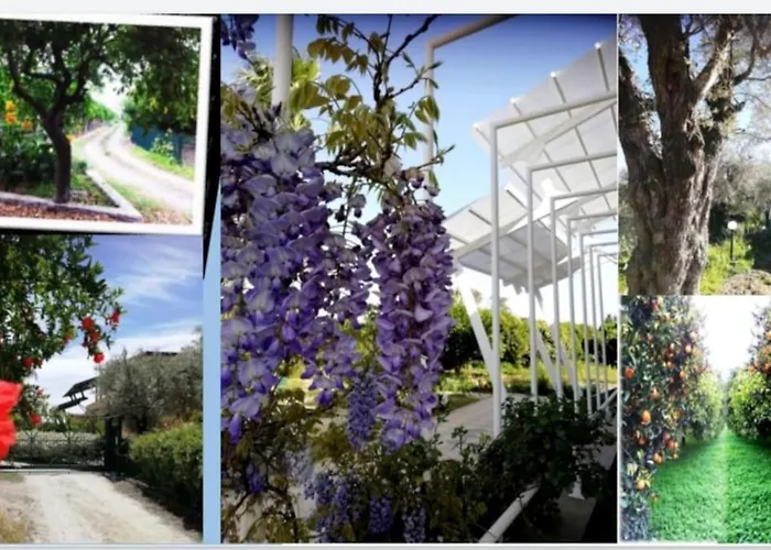 Panoramico, In Villa, Grande, Con Ampie Terrazze