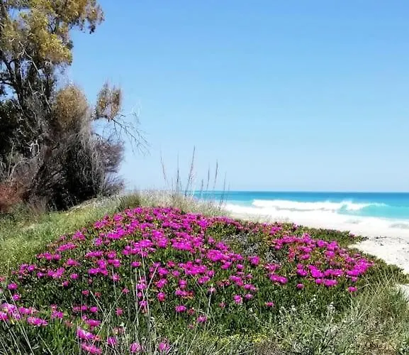 Apartamento Panoramico, In Villa, Grande, Con Ampie Terrazze *