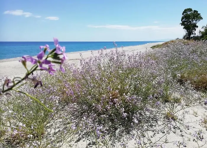 Panoramico, In Villa, Grande, Con Ampie Terrazze Apartamento *