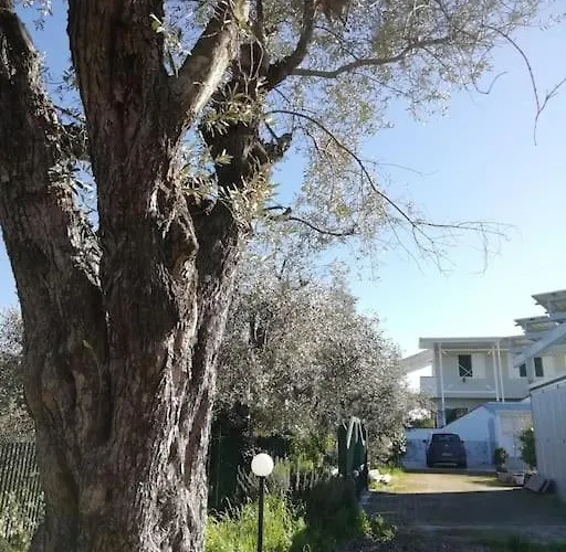 Panoramico, In Villa, Grande, Con Ampie Terrazze Caulonia Marina