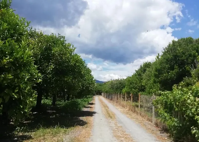 Apartamento Panoramico, In Villa, Grande, Con Ampie Terrazze